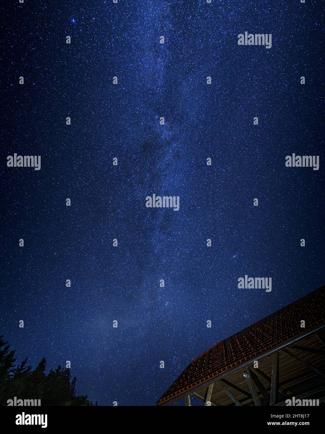 Vertical shot of the beautiful Milky Way in the night sky full of stars ...