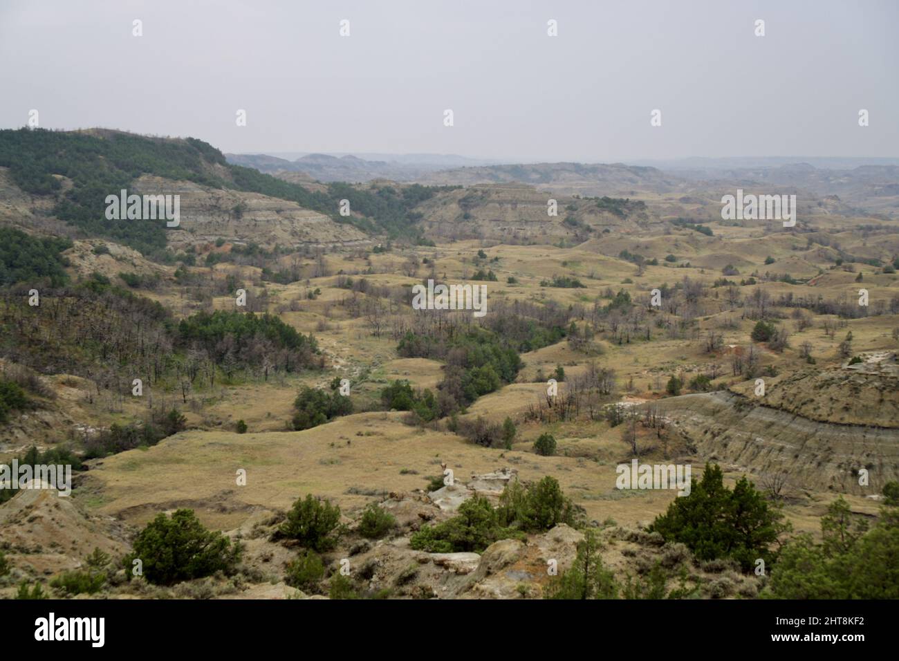 Aerial view of a nature on a foggy day Stock Photo - Alamy
