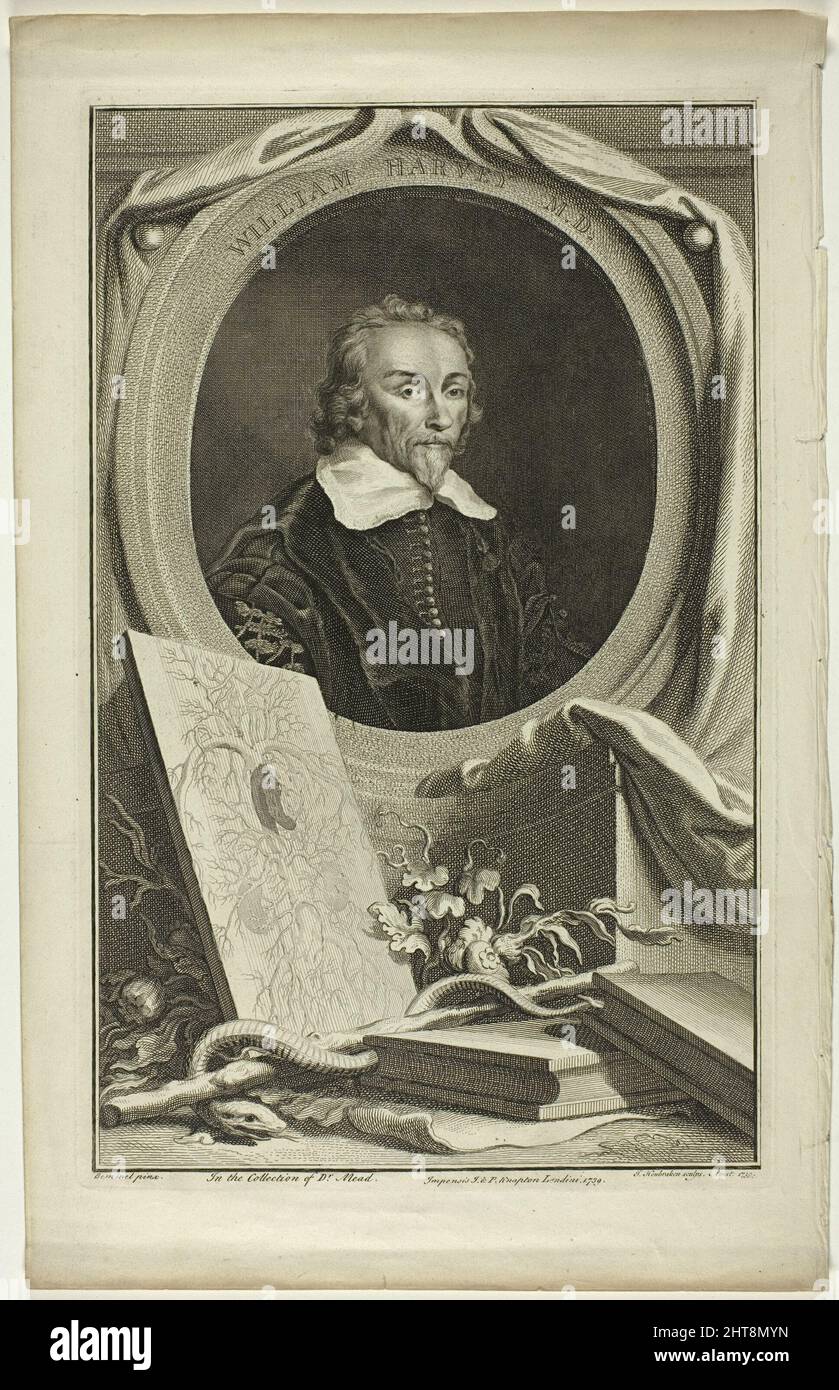 William Harvey, M.D., 1739 Stock Photo - Alamy