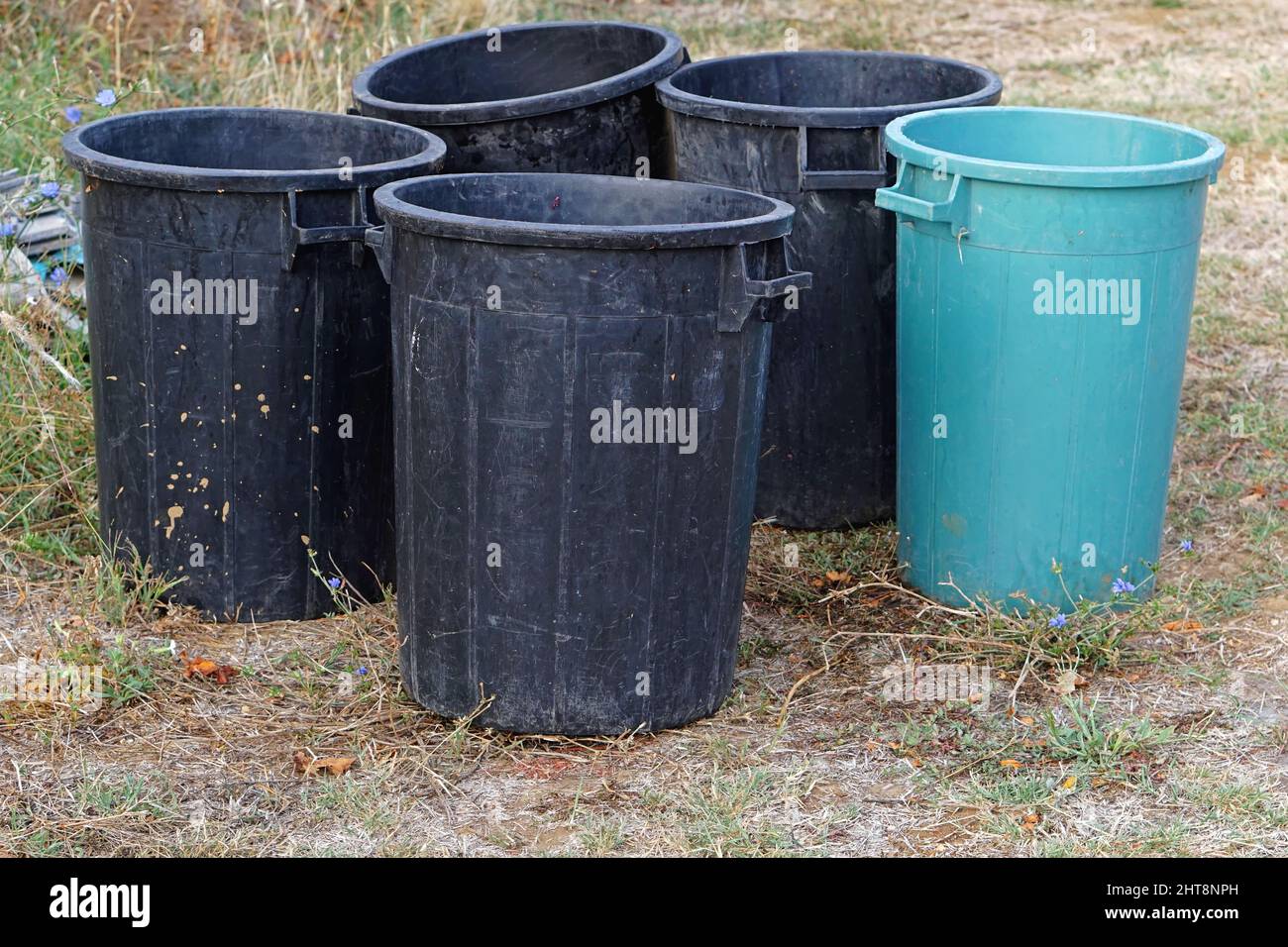 Many big plastic bucket with handles for farm use Stock Photo