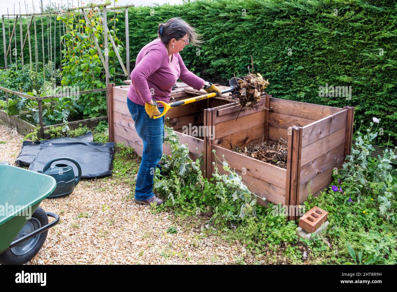 Woman working in garden moving compost between bins Stock Photo Alamy