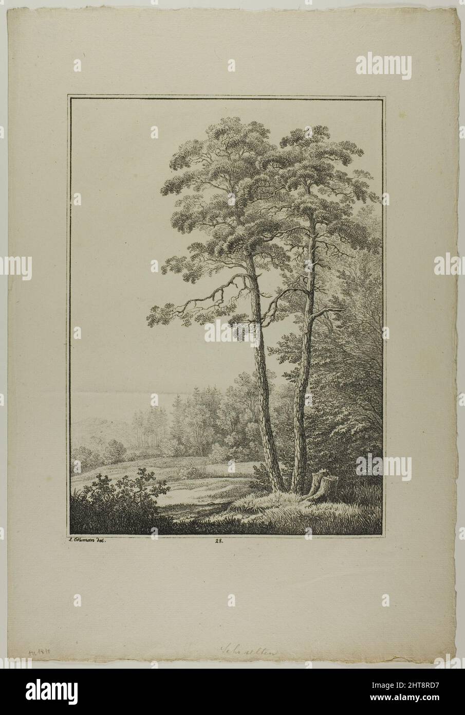 Plate 28 from Blatt Baum und Landschafts Studien, c.1810. Stock Photo