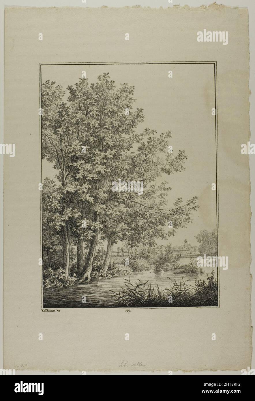 Plate 30 from Blatt Baum und Landschafts Studien, c.1810. Stock Photo
