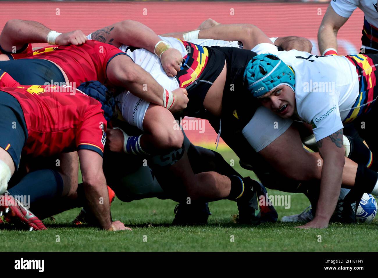 Rugby score now new arrivals