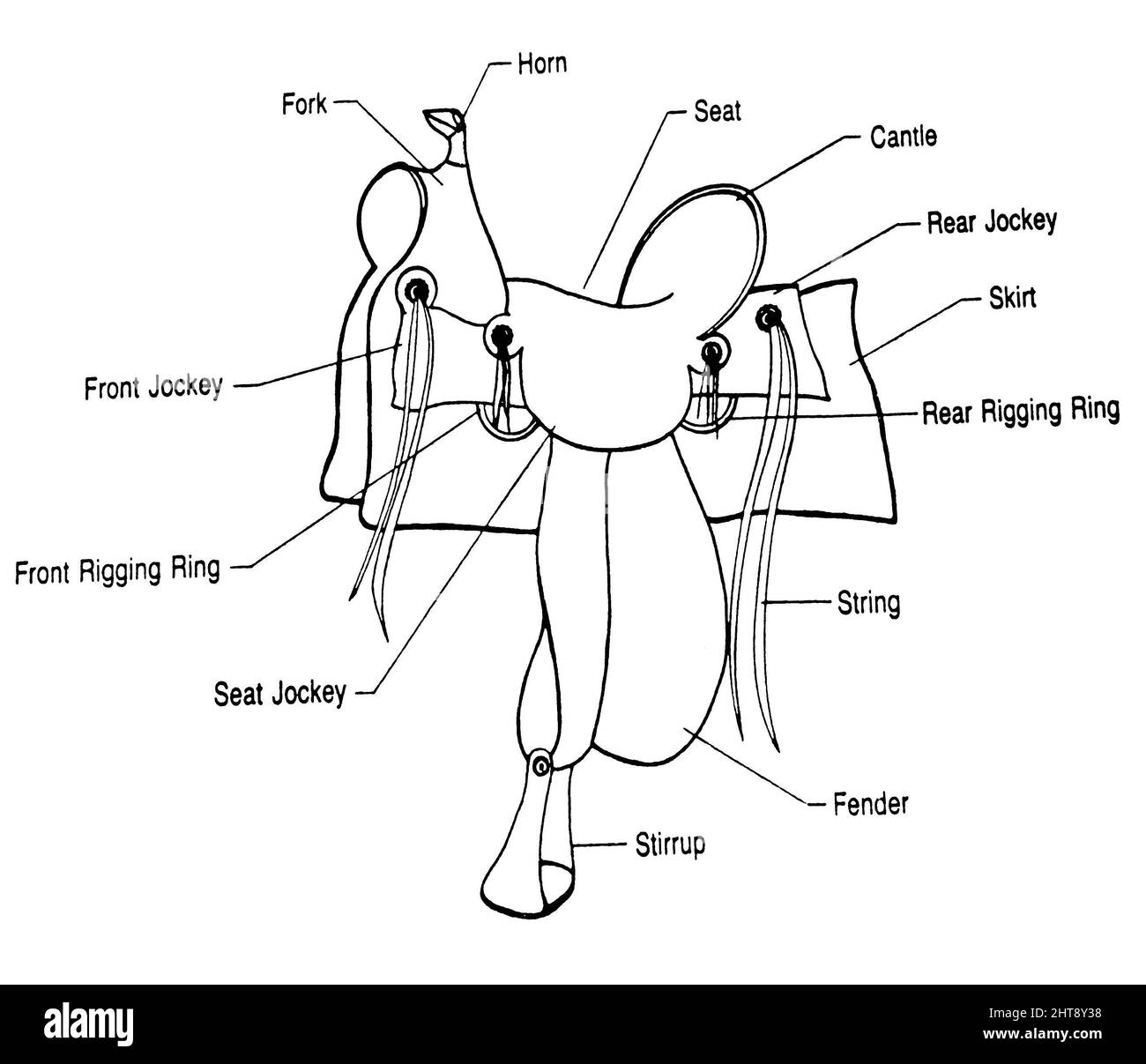 Illustration of a tree saddle part names Stock Photo Alamy