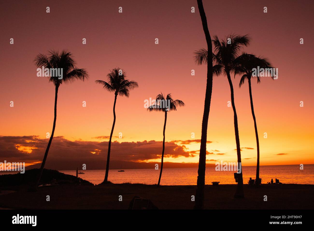 Art hawaii hi-res stock photography and images - Alamy
