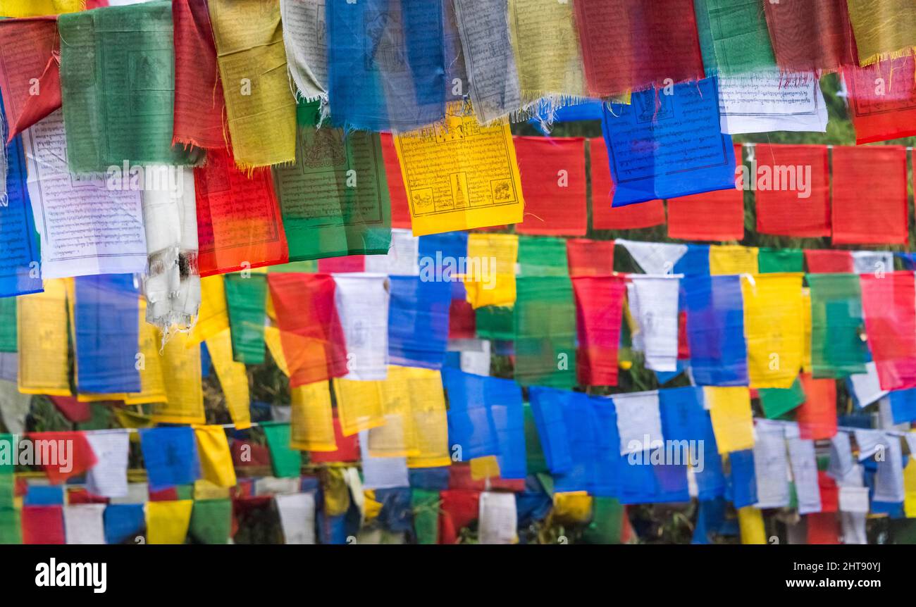 Prayer flags in the mountain, Darjeeling, West Bengal, India Stock Photo