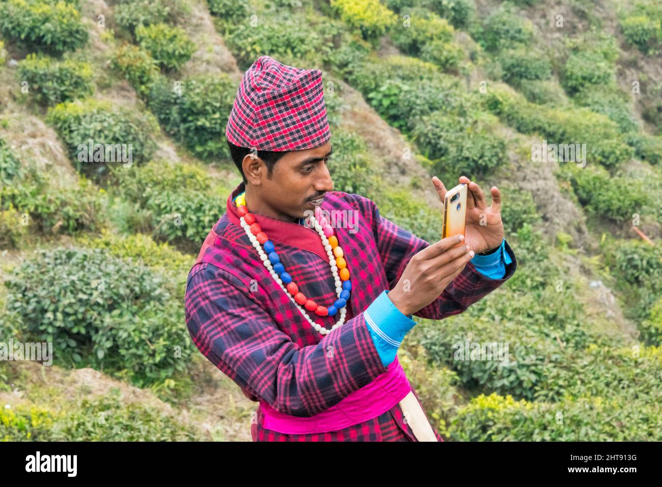 Tourist taking picture at Darjeeling tea garden, Darjeeling, West Bengal, India Stock Photo