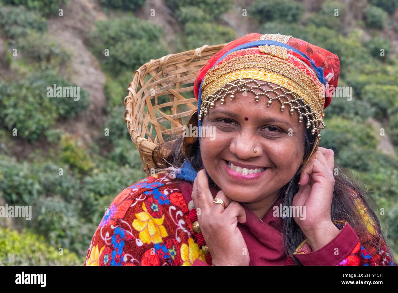 Woman carrying basket at Darjeeling tea garden, Darjeeling, West Bengal, India Stock Photo