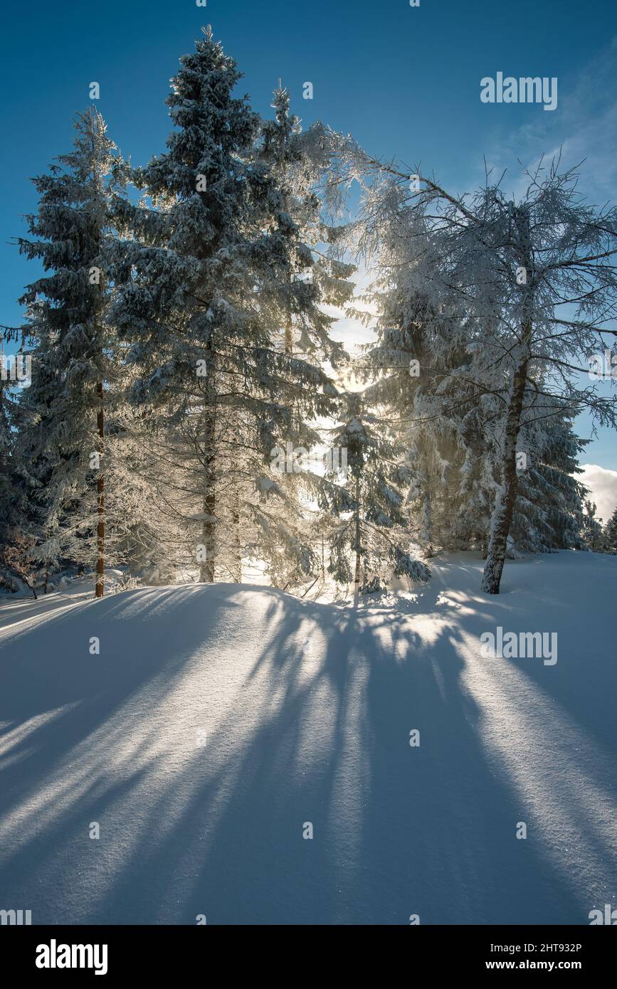 Snow in Beskids mountains near Szyndzielnia, Klimczok and Blatnia, Silesia, Poland Stock Photo