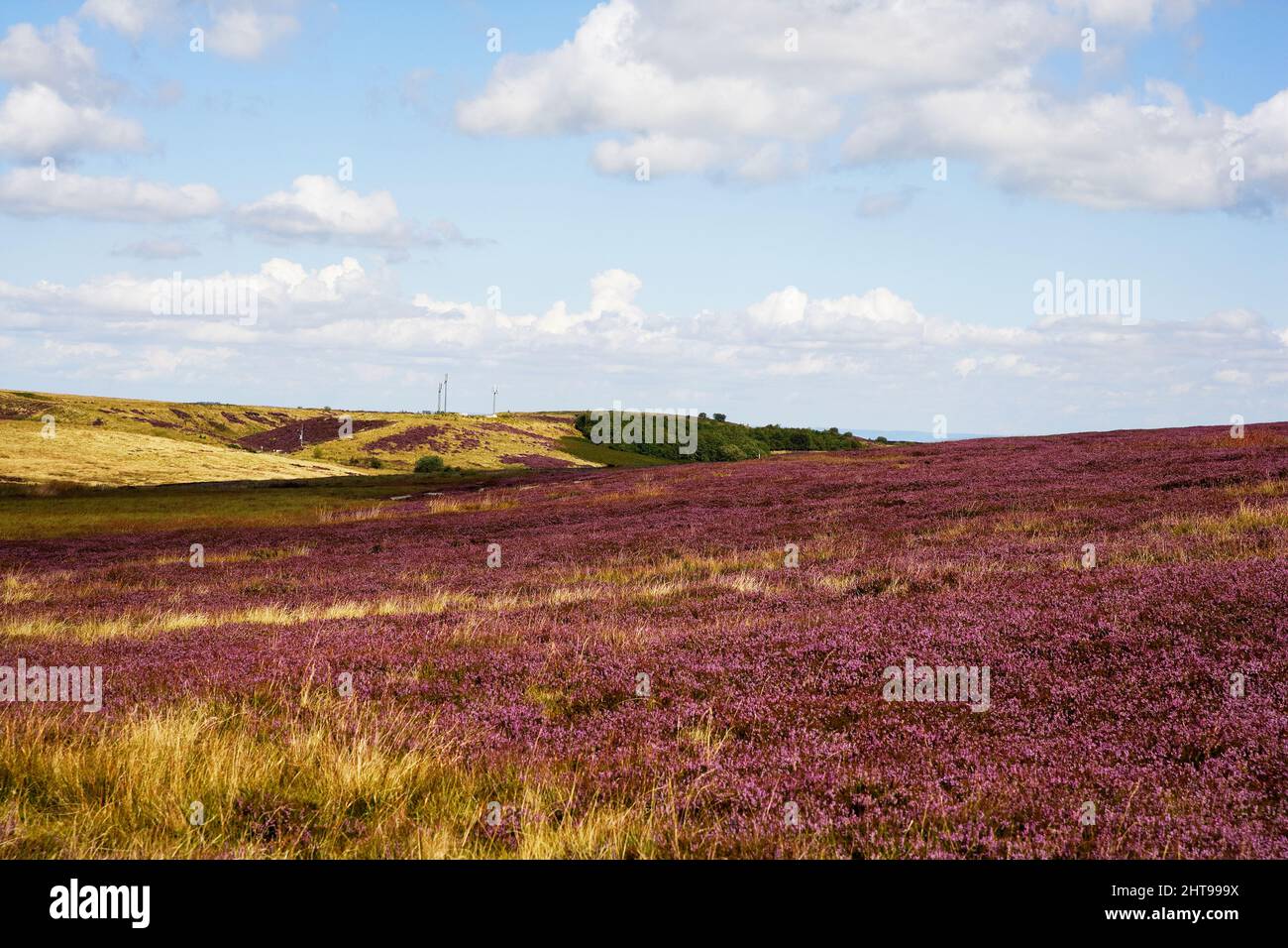 Kex Gill Moor looking across towards Blubberhouses Quarry, North