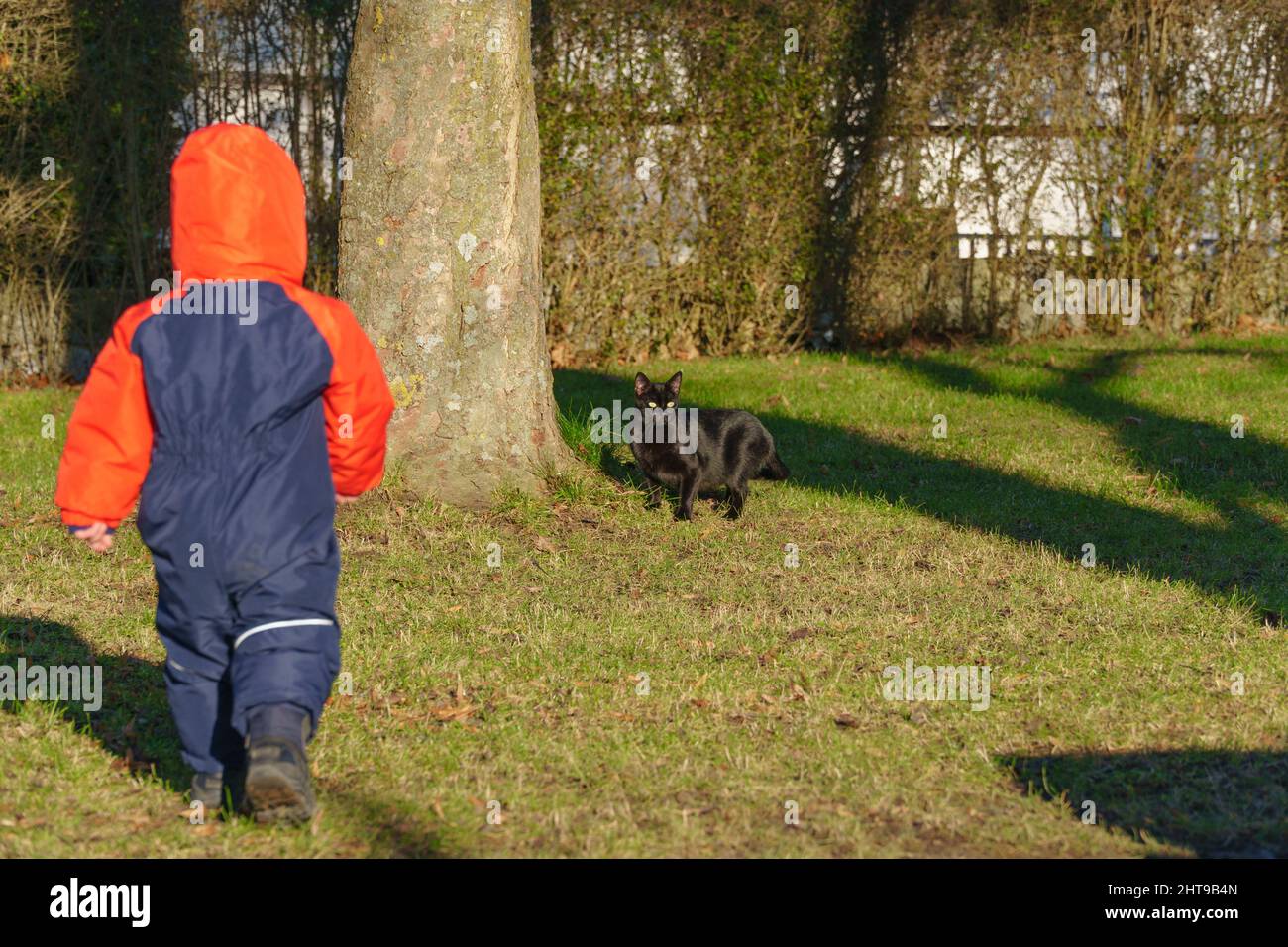 Kid playing a with a black cat in a park Stock Photo - Alamy