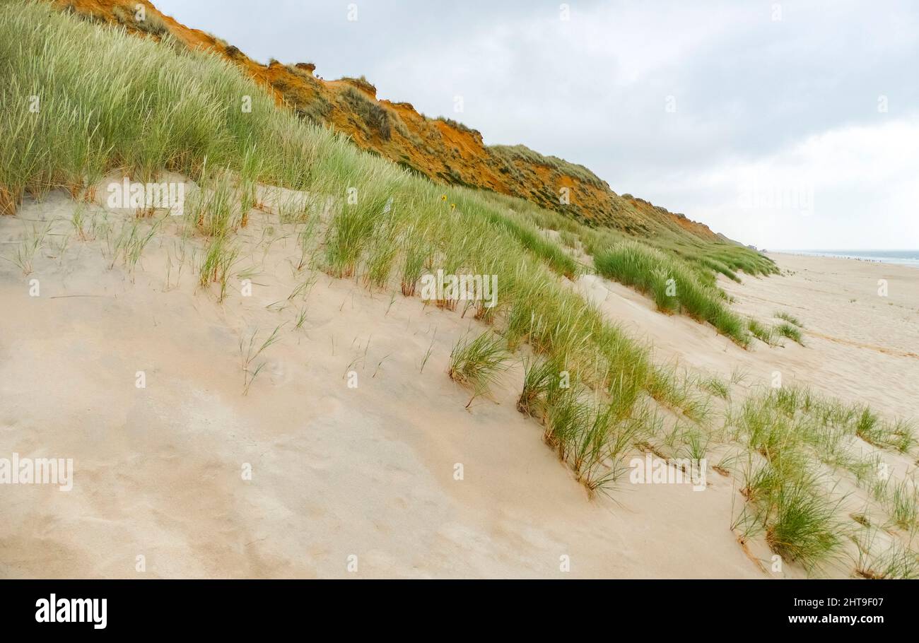 Rotes Kliff at Sylt, part of the North Frisian Islands in Germany Stock Photo