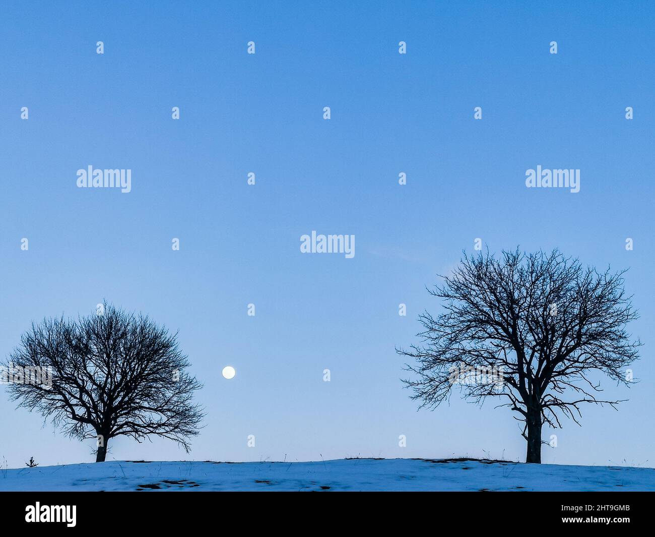 Beautiful shot of a landscape under the clear skies and the full moon ...