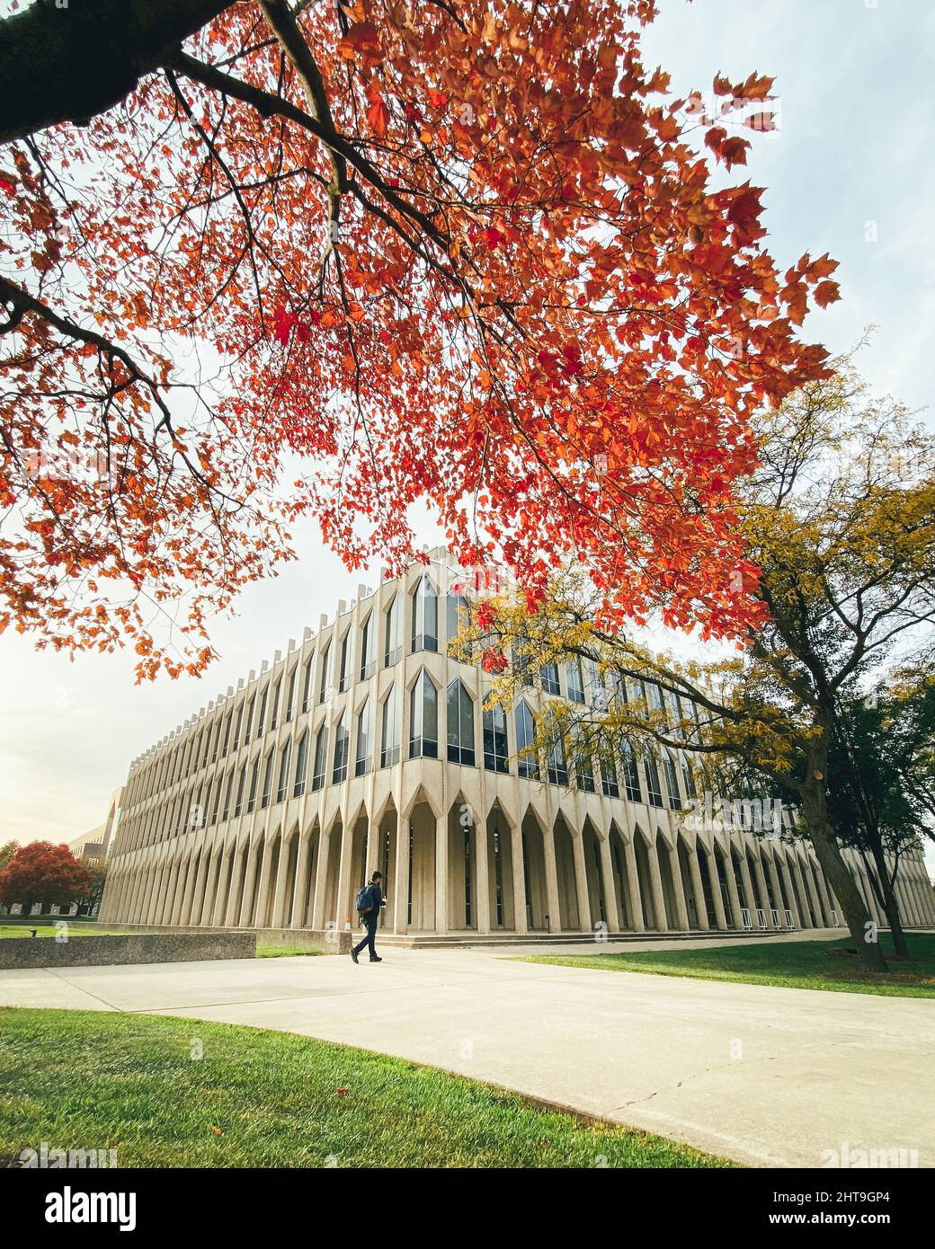 Fall walk in the yard of Wayne State University, Detroit, USA Stock Photo