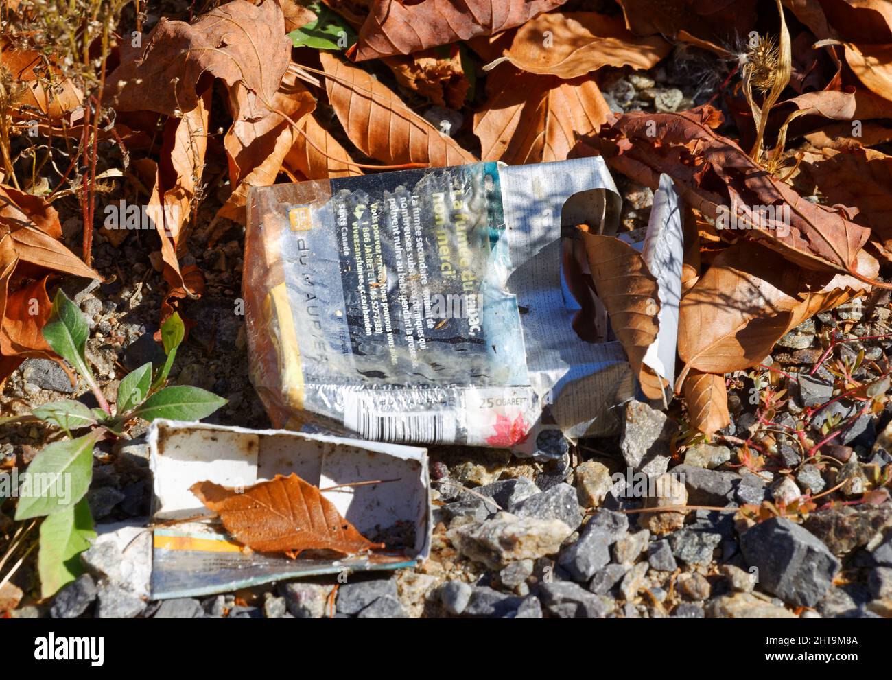 An empty pack of cigarettes litter the side of a road . Quebec,Canada Stock Photo