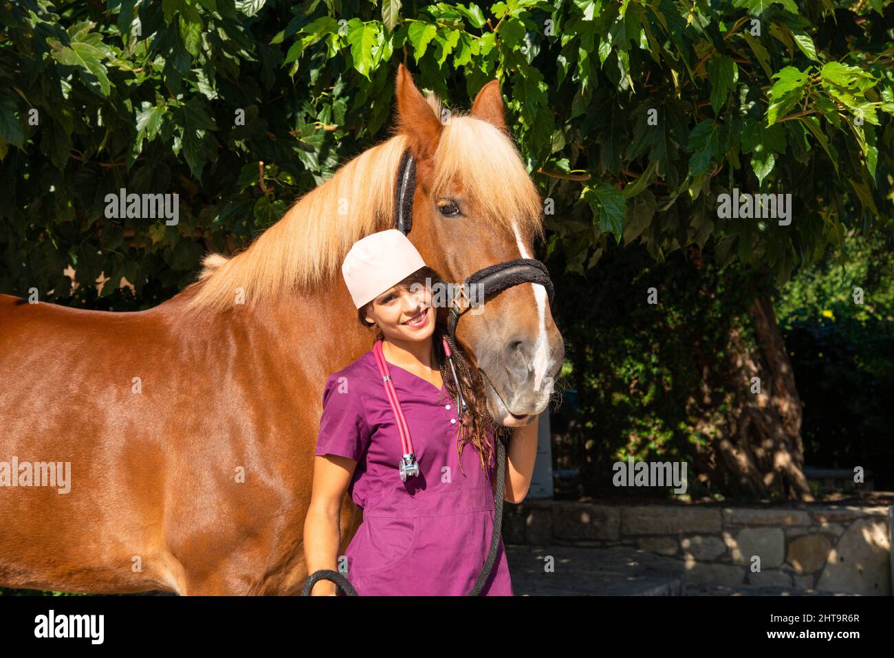 Veterinarian horse hi-res stock photography and images - Alamy