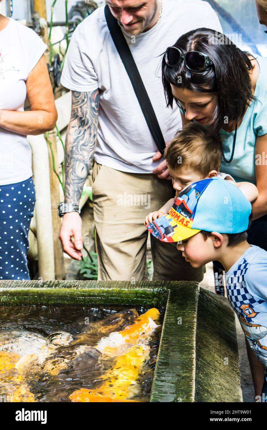 Family members looking at carp fish Stock Photo Alamy