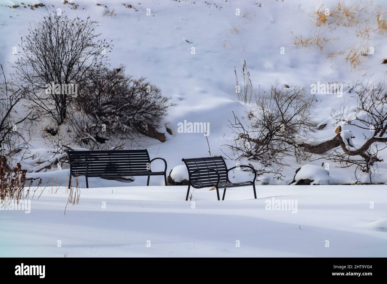 Wooden benches in a park fully covered in snow Stock Photo - Alamy