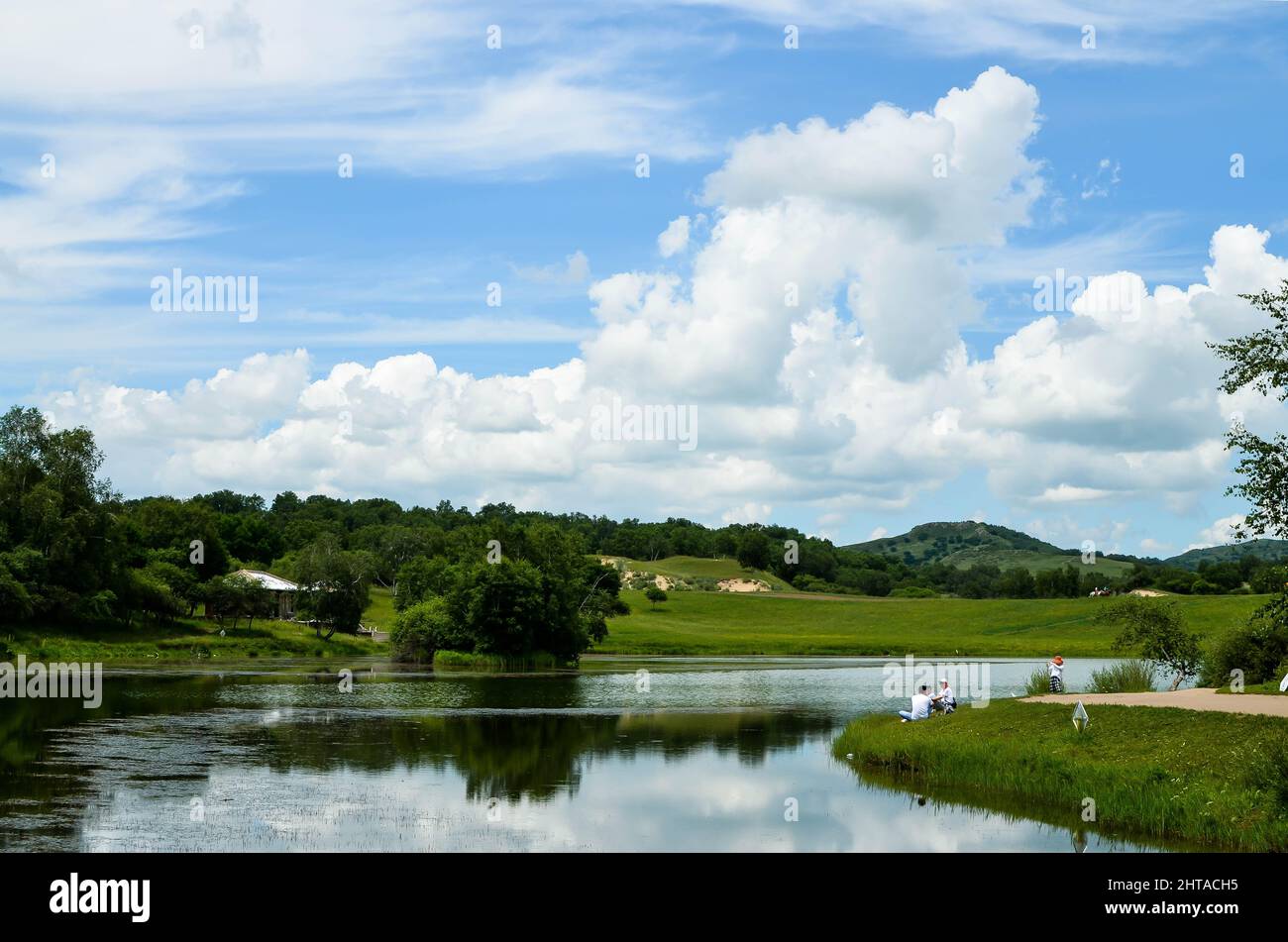 Beautiful shot of a lake under the cloudy skies in a forest Stock Photo ...