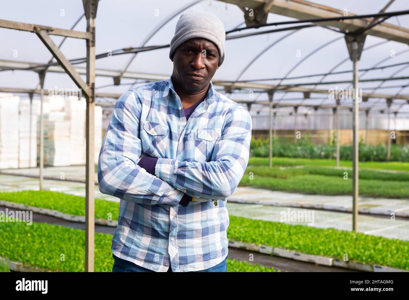 Portrait of gardener standing at the greenhouse Stock Photo