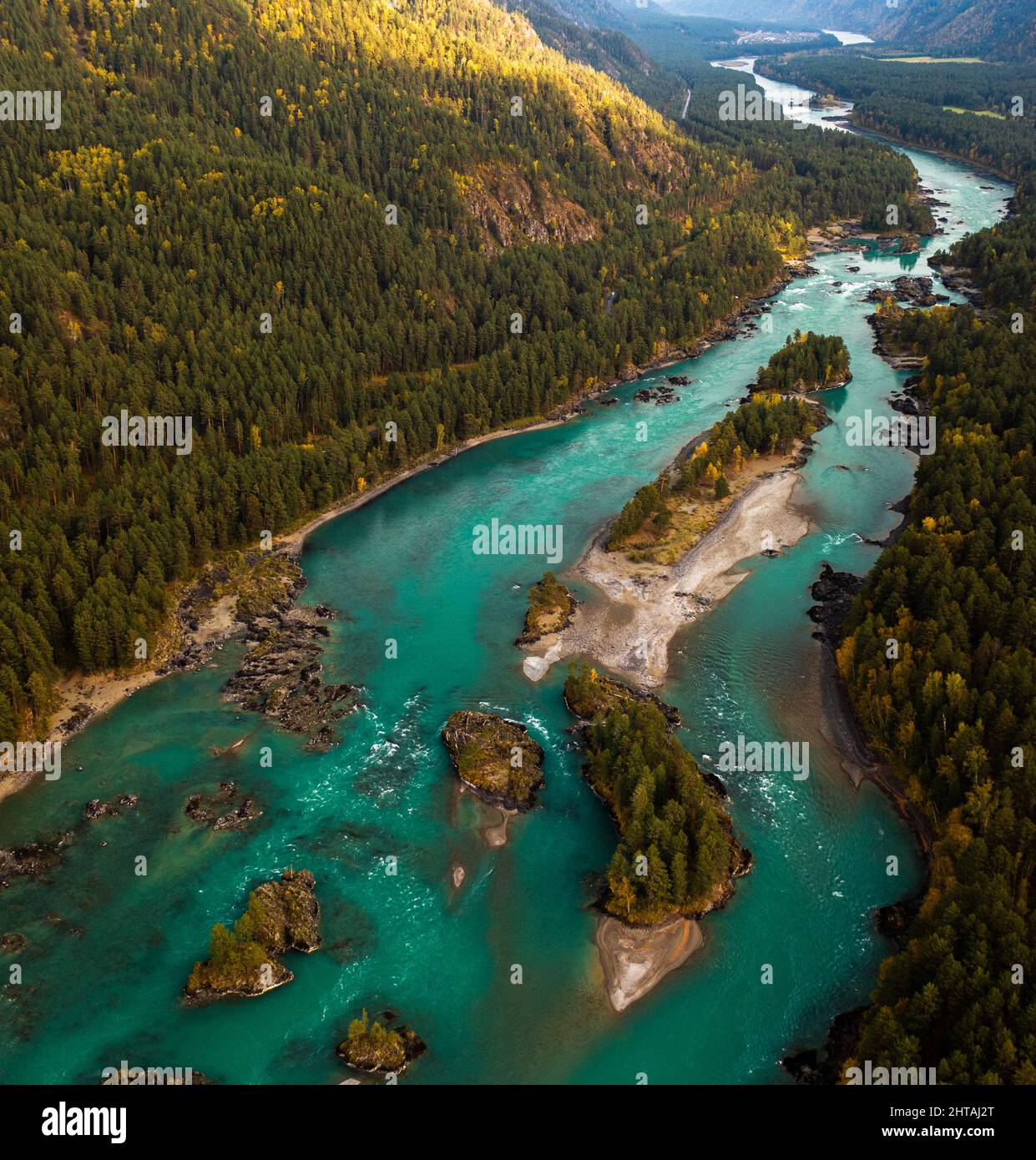 Aerial shot of river along forest trees Stock Photo - Alamy