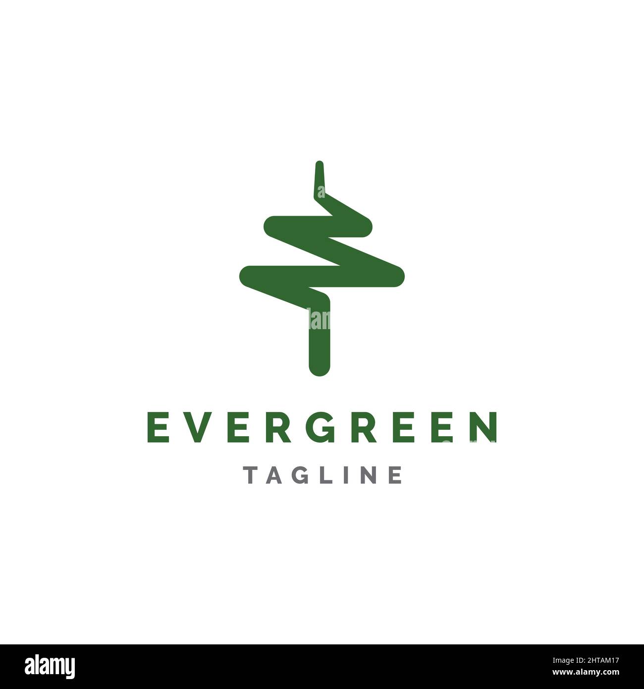 Evergreen pine tree logo design illustration vector template Stock