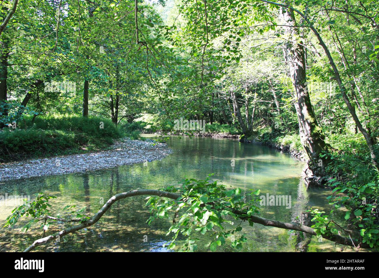River in the middle of trees in the daytime Stock Photo - Alamy