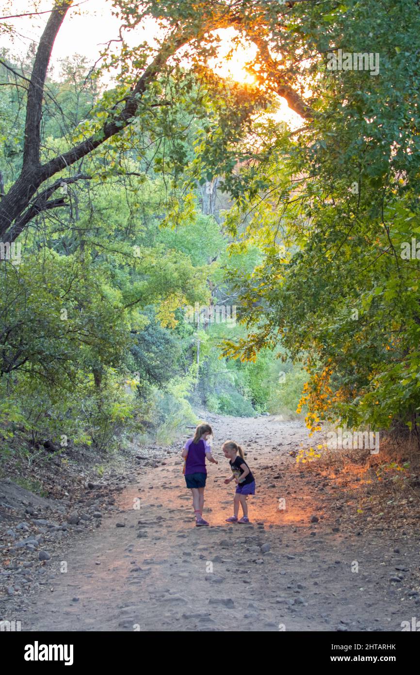 Two young girls walking on a forest trail Stock Photo - Alamy