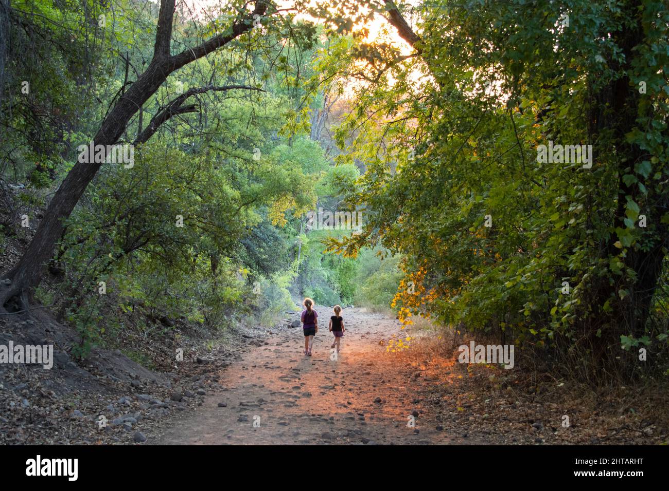 Two young girls walking on a forest trail Stock Photo - Alamy