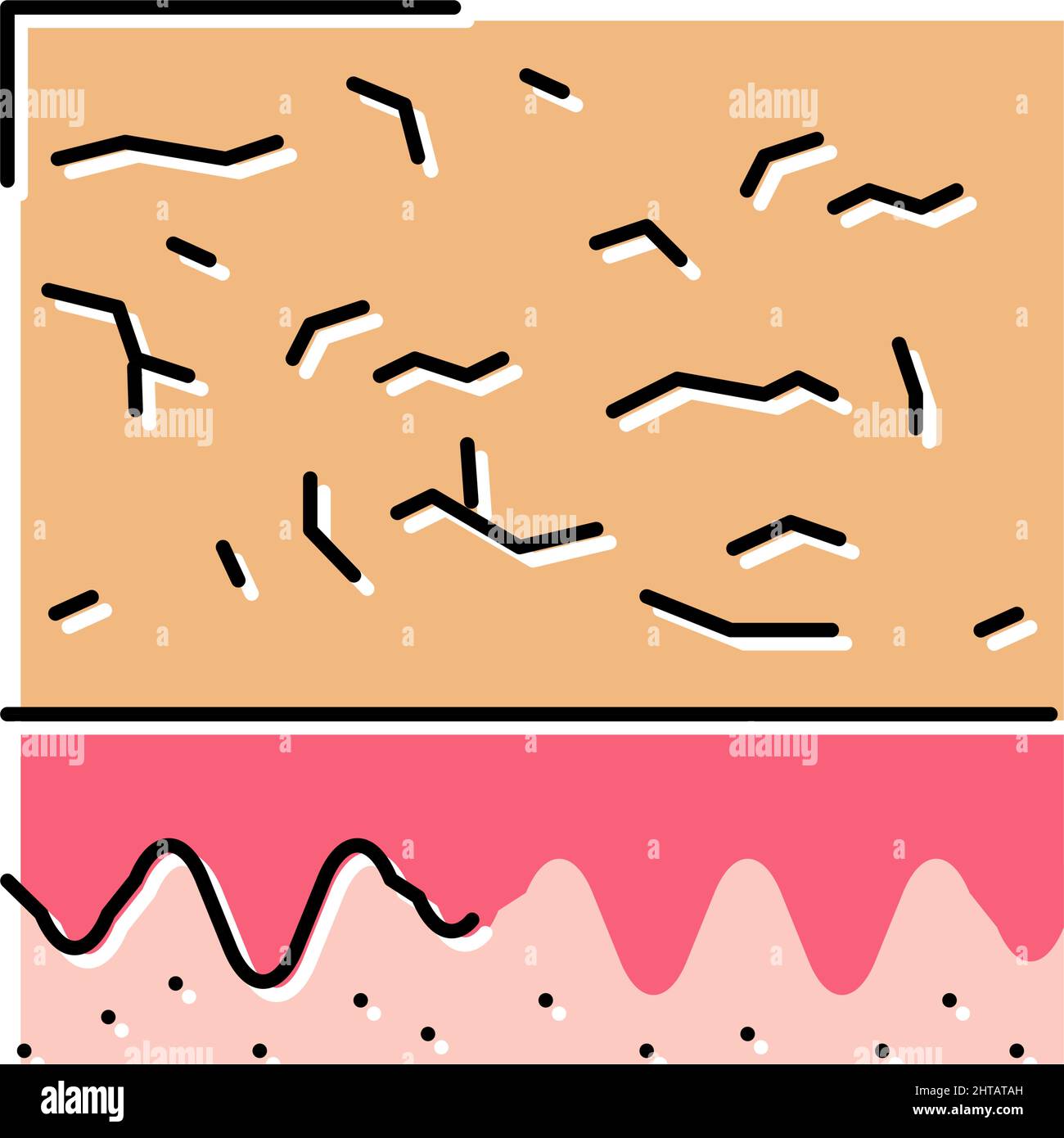 dry skin color icon vector illustration Stock Vector Image & Art - Alamy