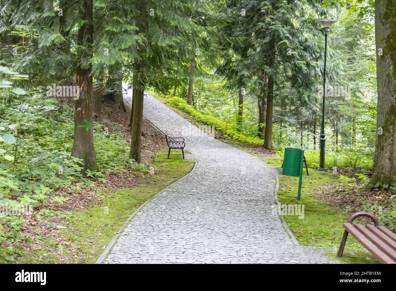 Concrete path through a nature park lined with benches and trees Stock ...