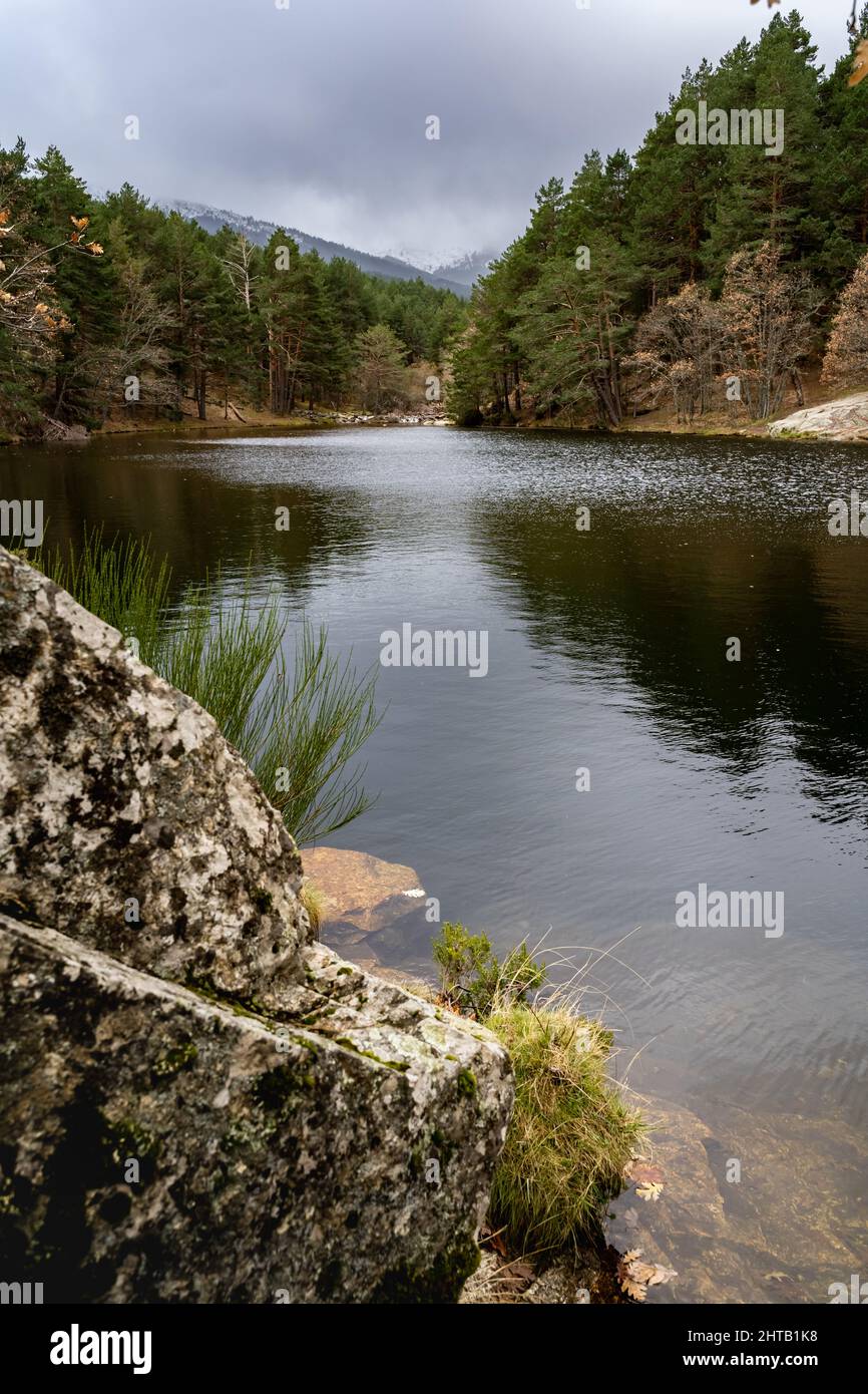 Scenic river lined with trees under a cloudy sky Stock Photo - Alamy