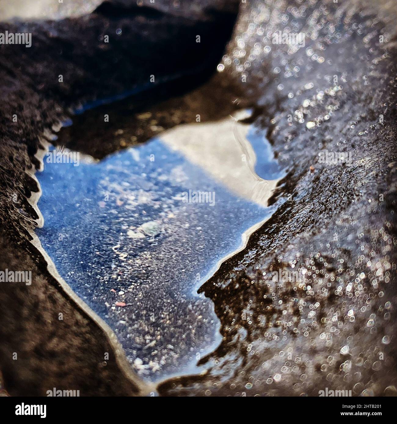 Closeup of a water puddle Stock Photo - Alamy
