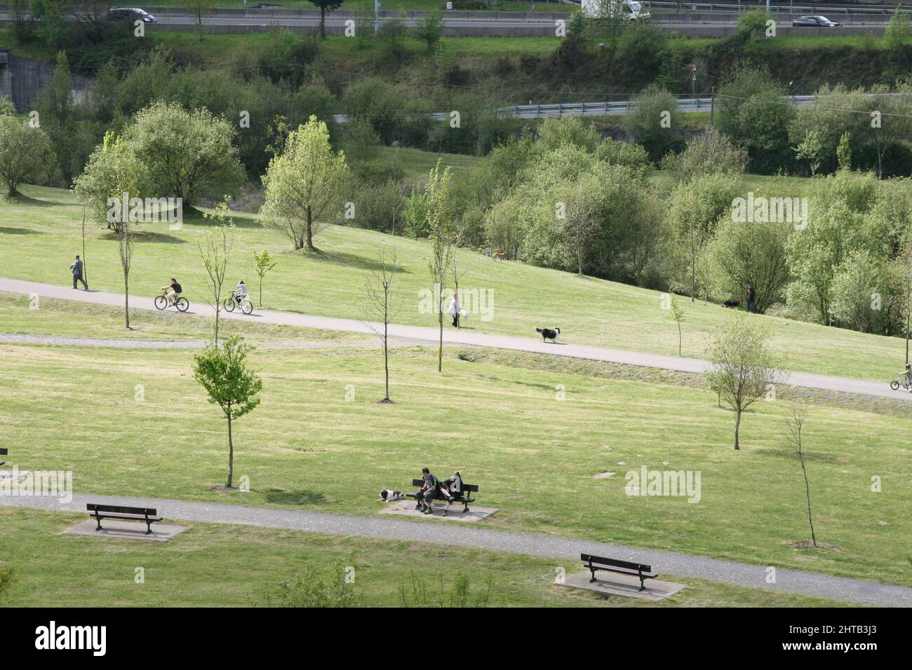 A view of a green mountain and some green trees on it with small roads between it Stock Photo