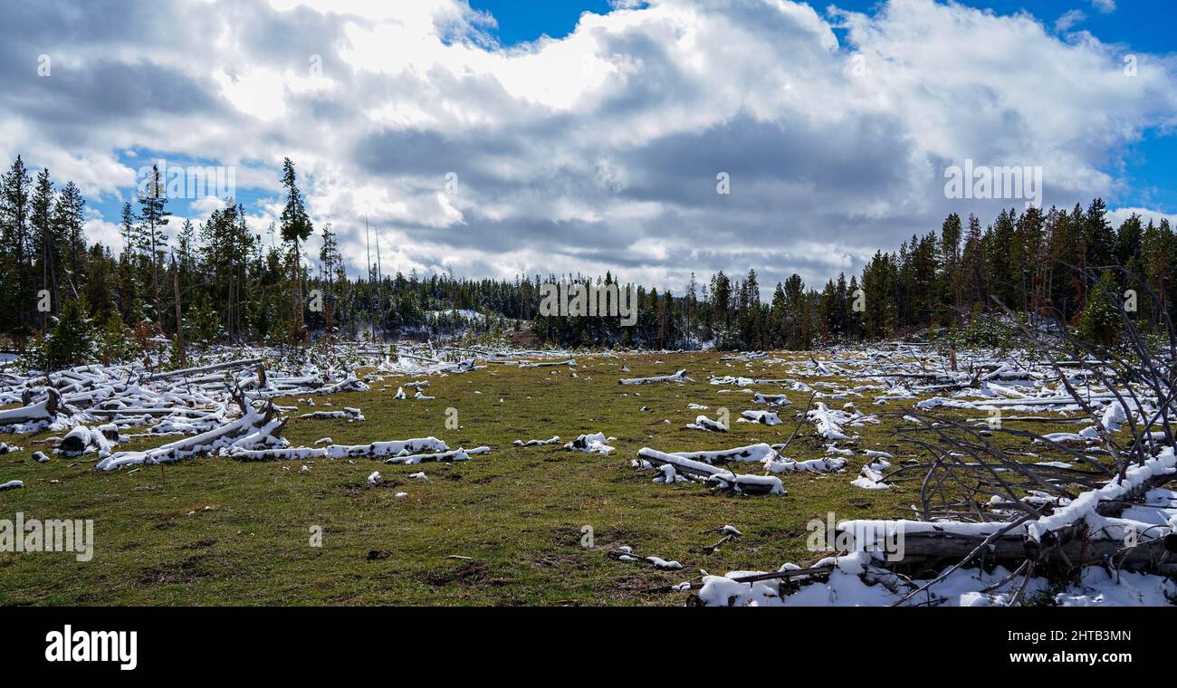 Panoramic Landscape view of trees with steam coming out with range mountains and a blue cloudy sky Stock Photo