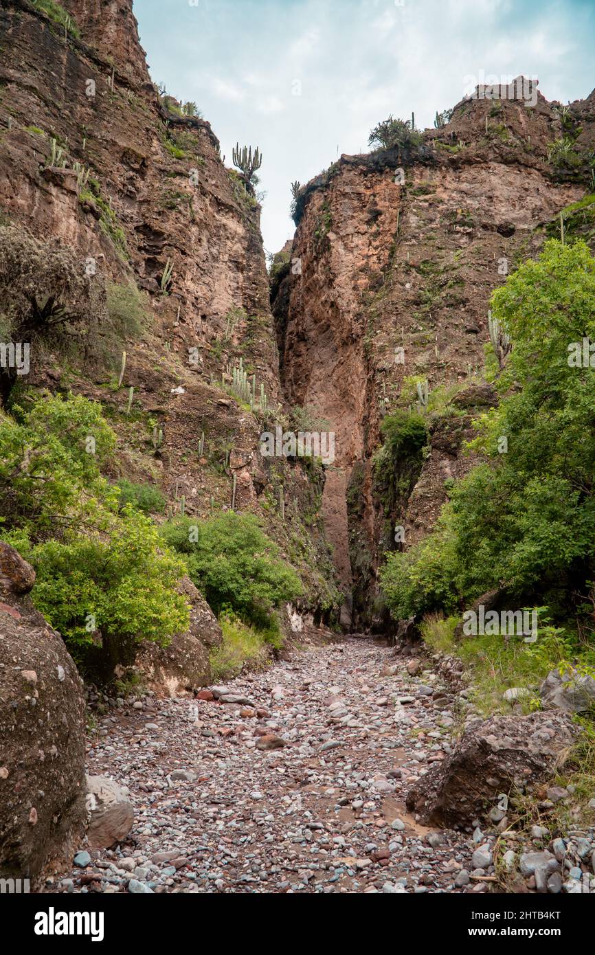 Rocky mountain colors hi-res stock photography and images - Alamy