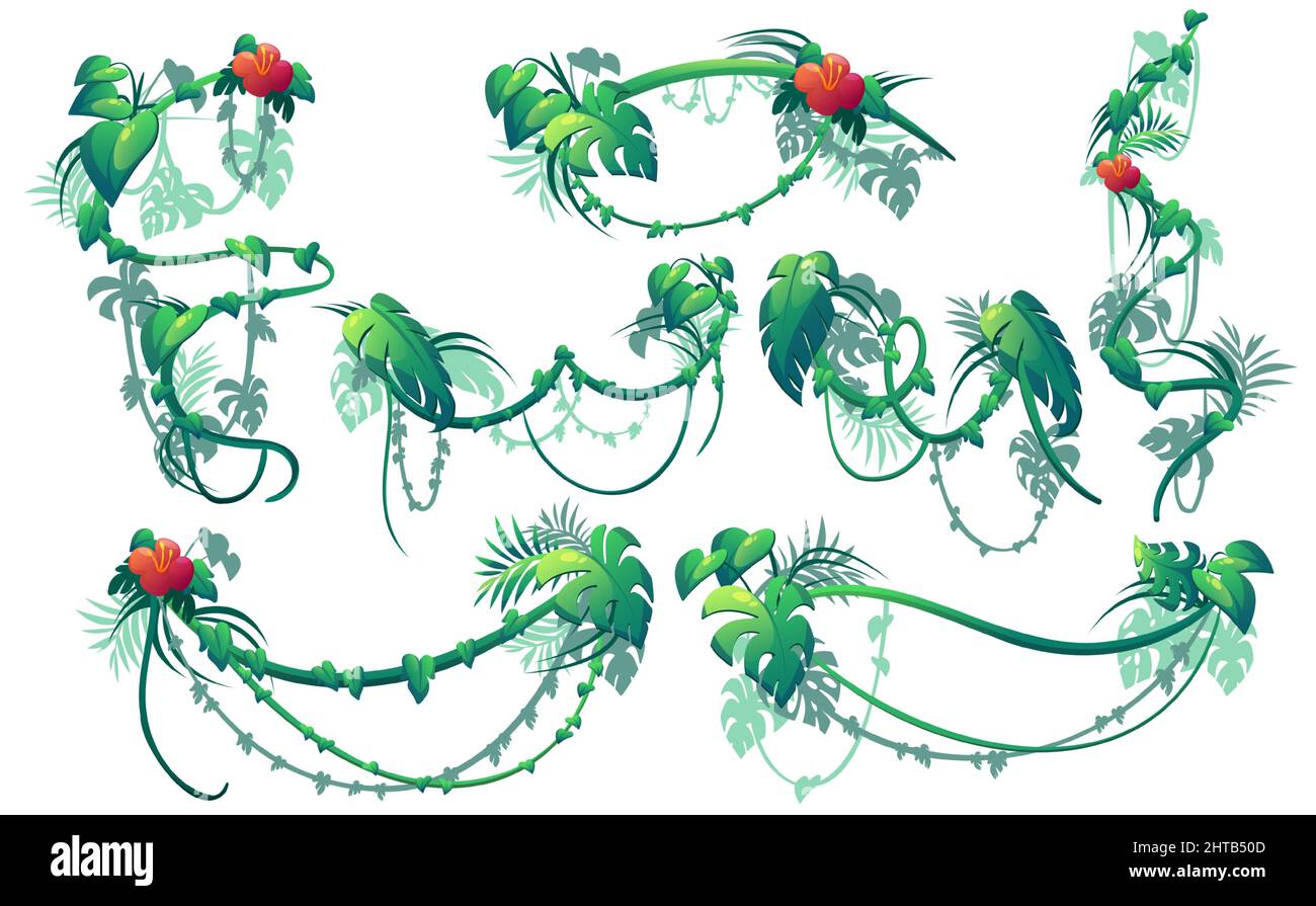 Jungle creeper plants, lianas with green leaves and red flowers. Vector cartoon set of borders of climbing ivy vines, curly hanging floral branches isolated on white background Stock Vector
