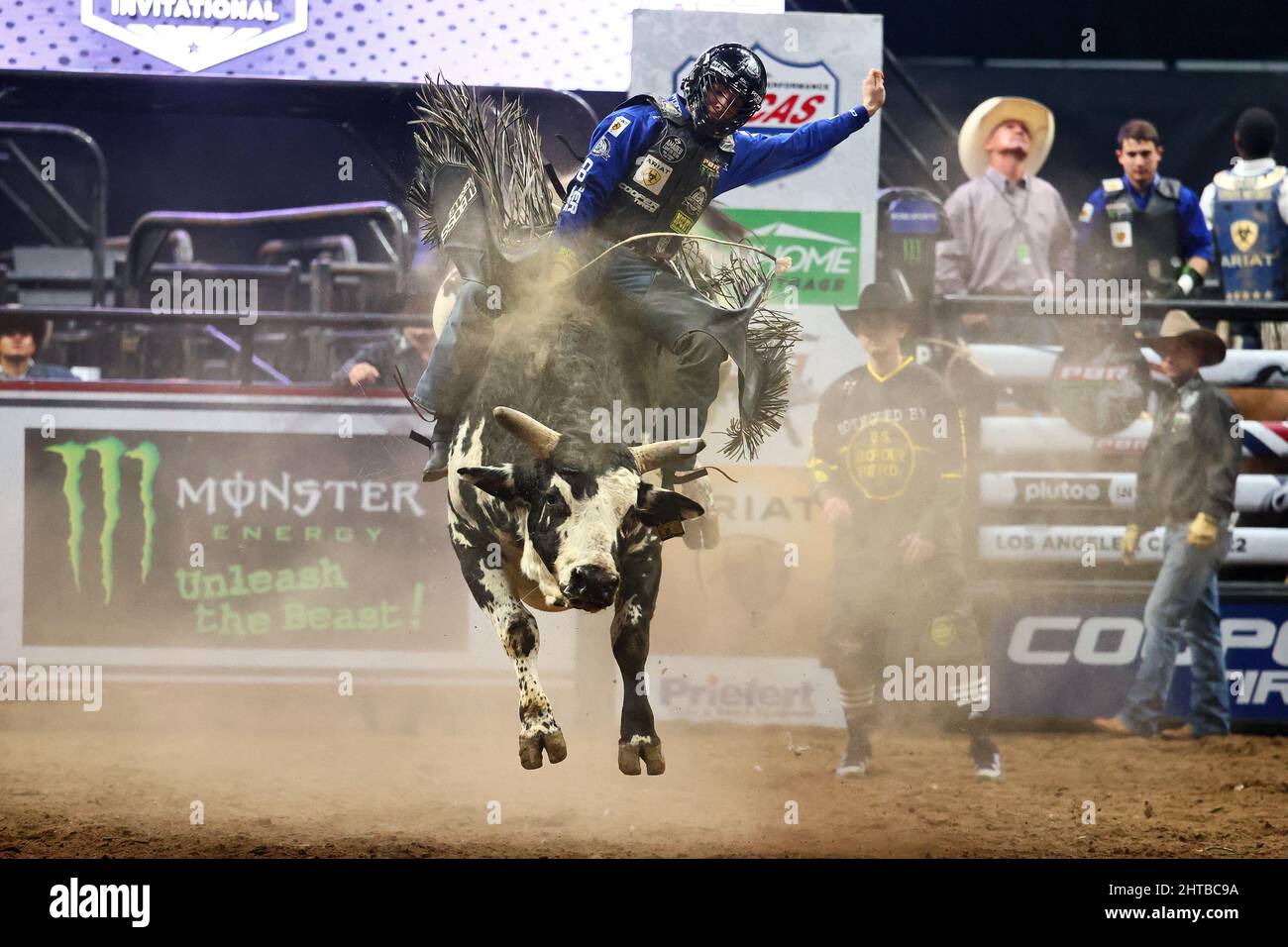 Pbr bull hi-res stock photography and images - Alamy