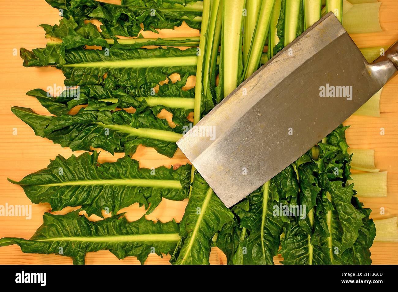 Puntarelle, fresh variant of chicory of Italy Stock Photo Alamy