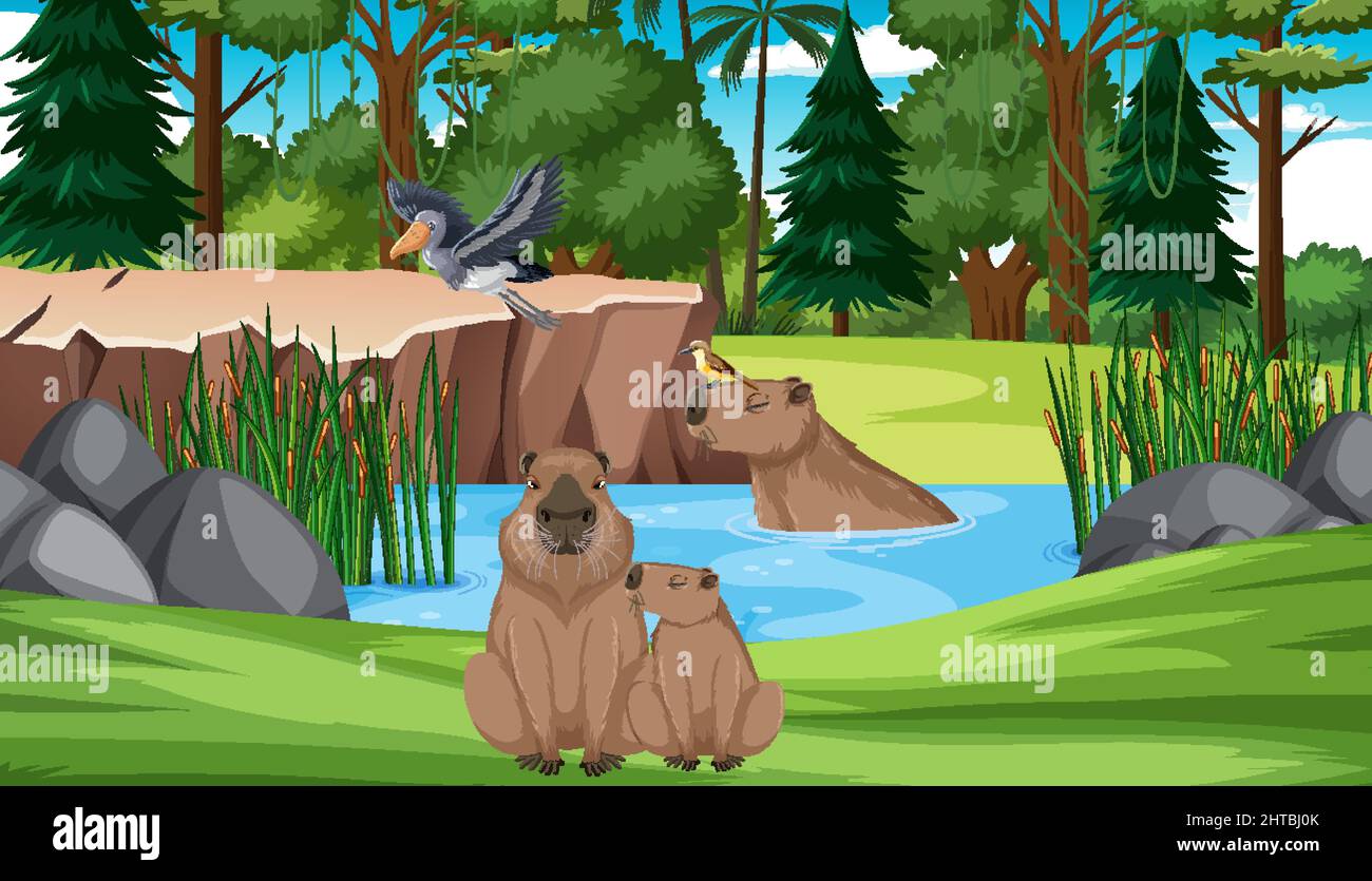Wombats and birds by the pond illustration Stock Vector Image & Art - Alamy