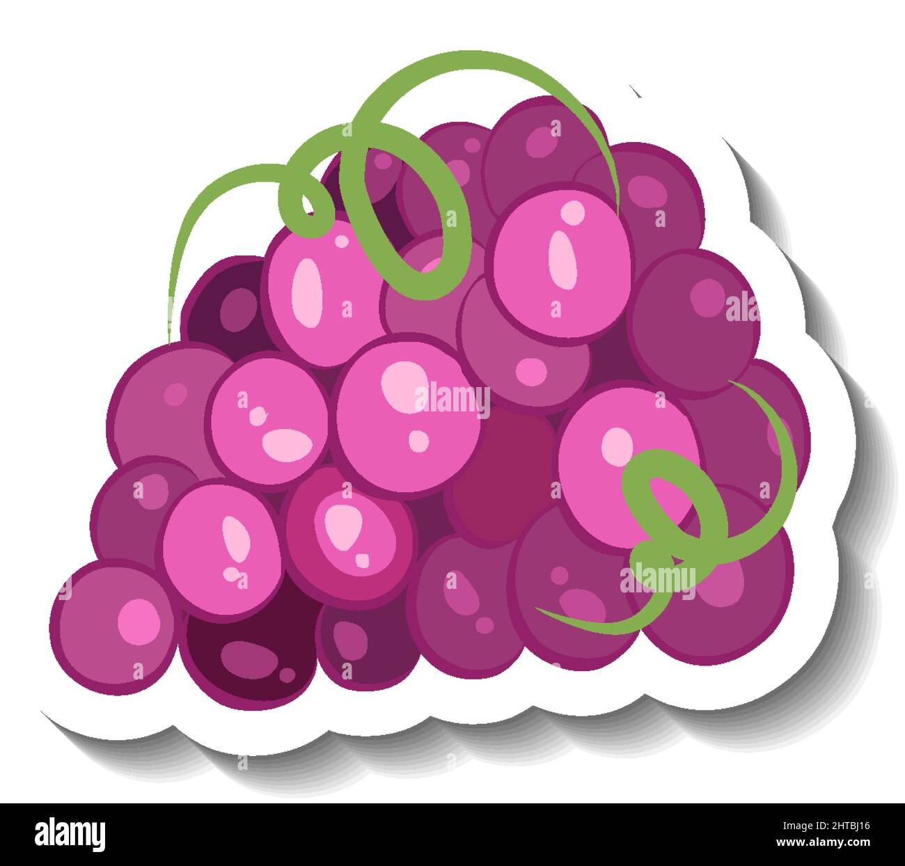 Cluster of grapes in cartoon style illustration Stock Vector Image