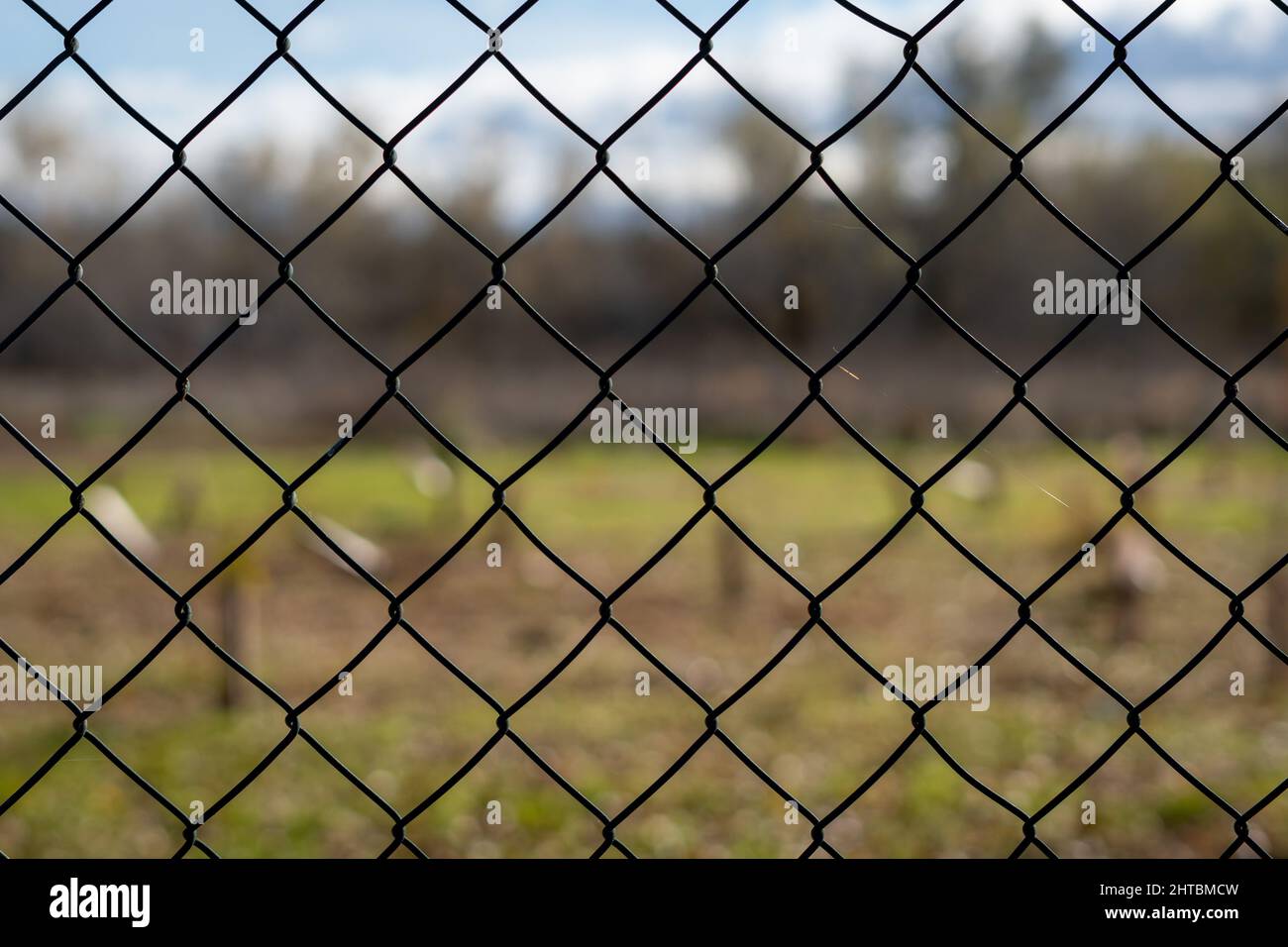 Close up lattice fence hi-res stock photography and images - Alamy