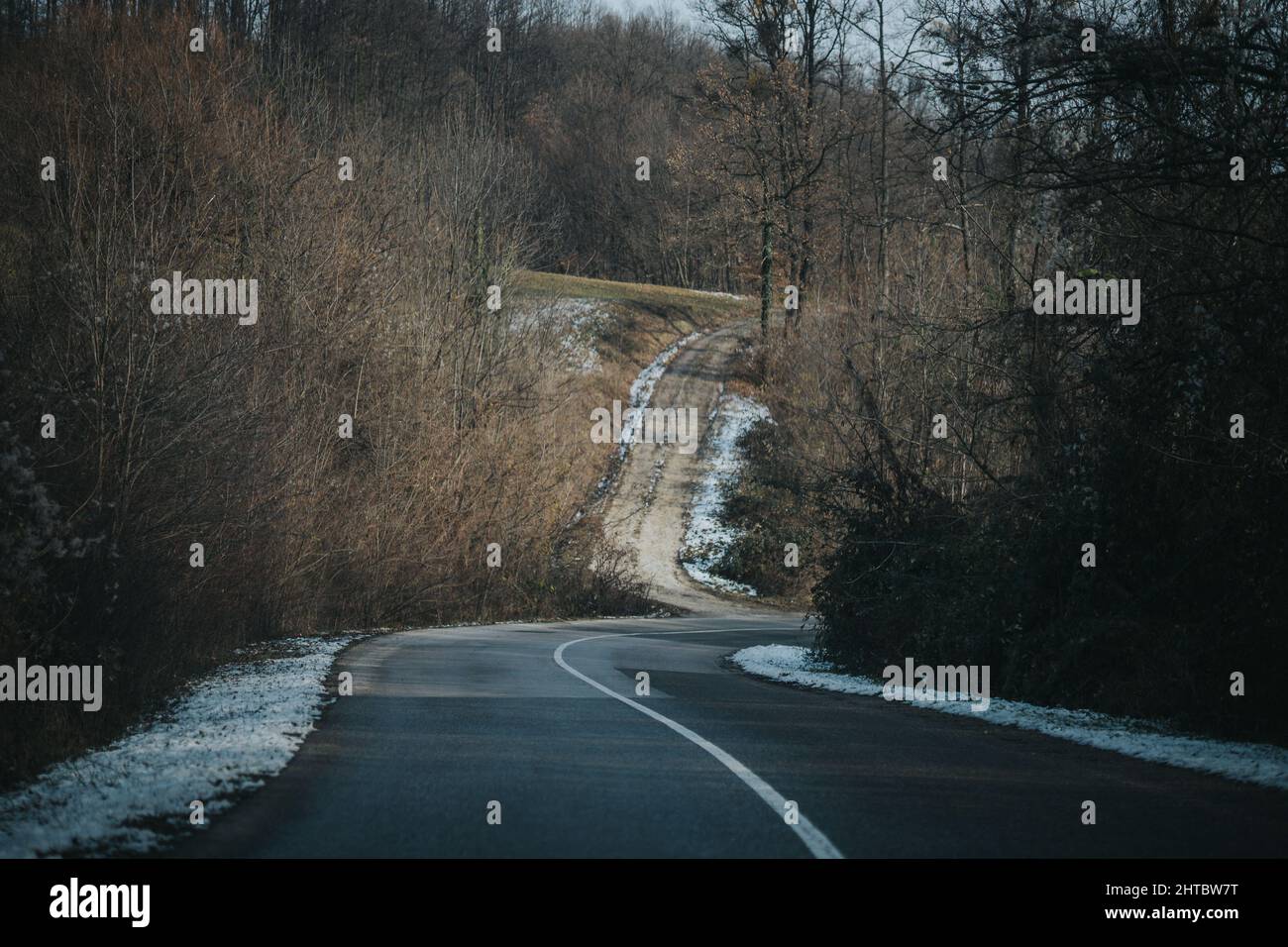 A beautiful shot of a road surrounded with trees during the winter Stock Photo
