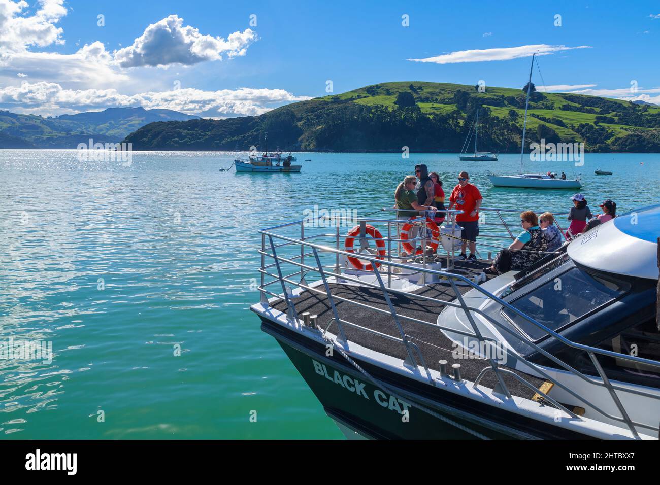 A Black Cat Cruises catamaran prepares to leave on a nature cruise in Akaroa Harbour, New Zealand Stock Photo