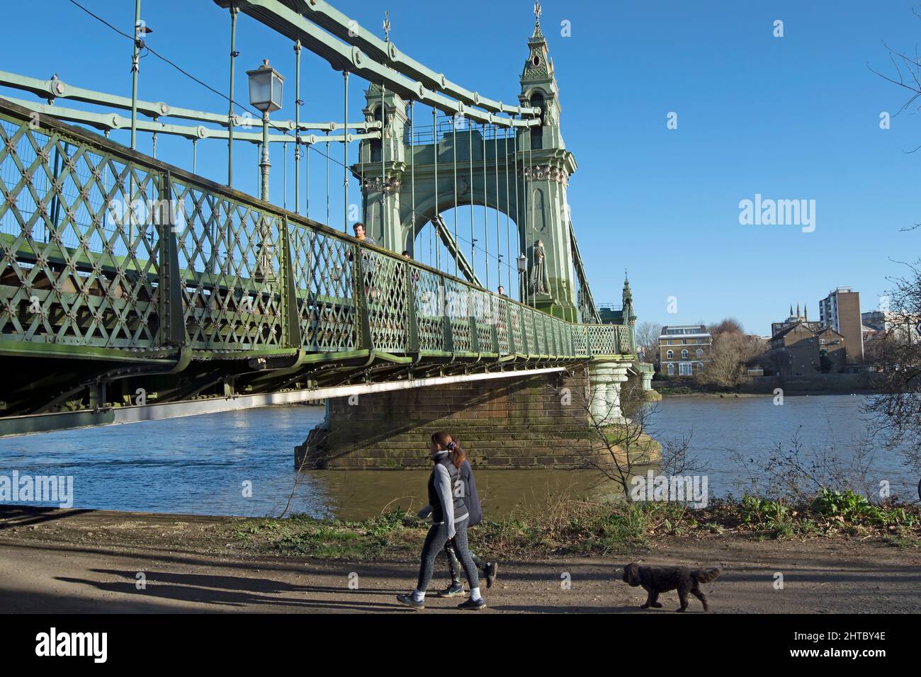on the banks of the river thames in barnes, two women walking a dog about to pass beneath hammersmith bridge, london, england Stock Photo