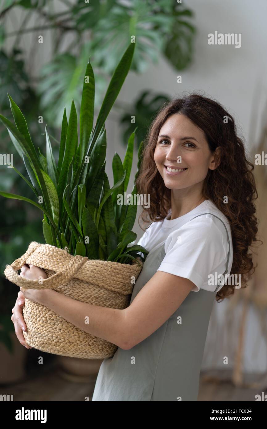 Gardening for health and wellbeing. Young happy female gardener with Sansevieria houseplant in hands Stock Photo