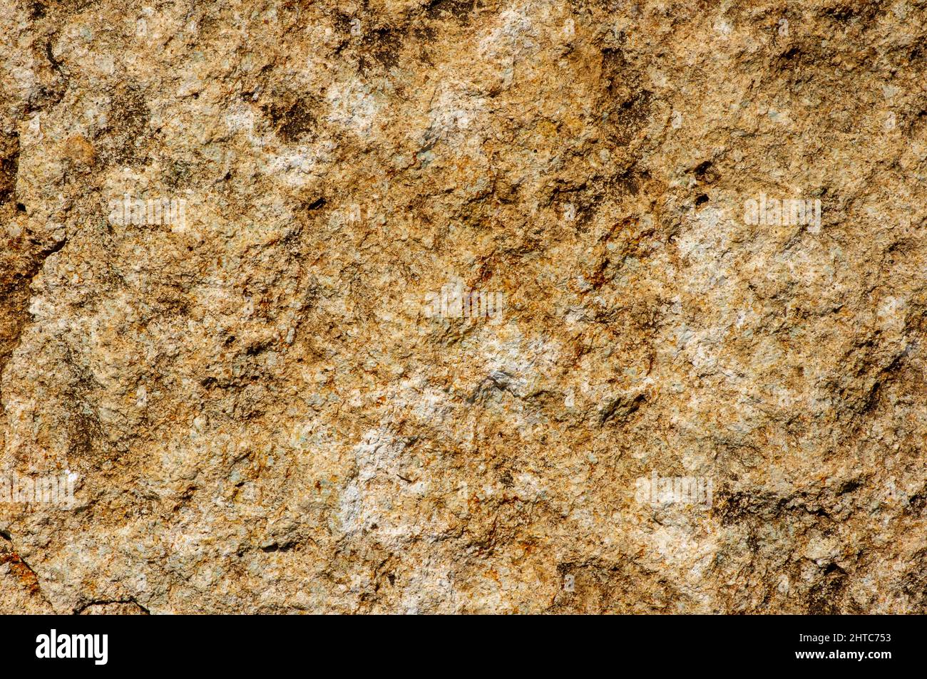 Surface of the stone for natural background Stock Photo Alamy
