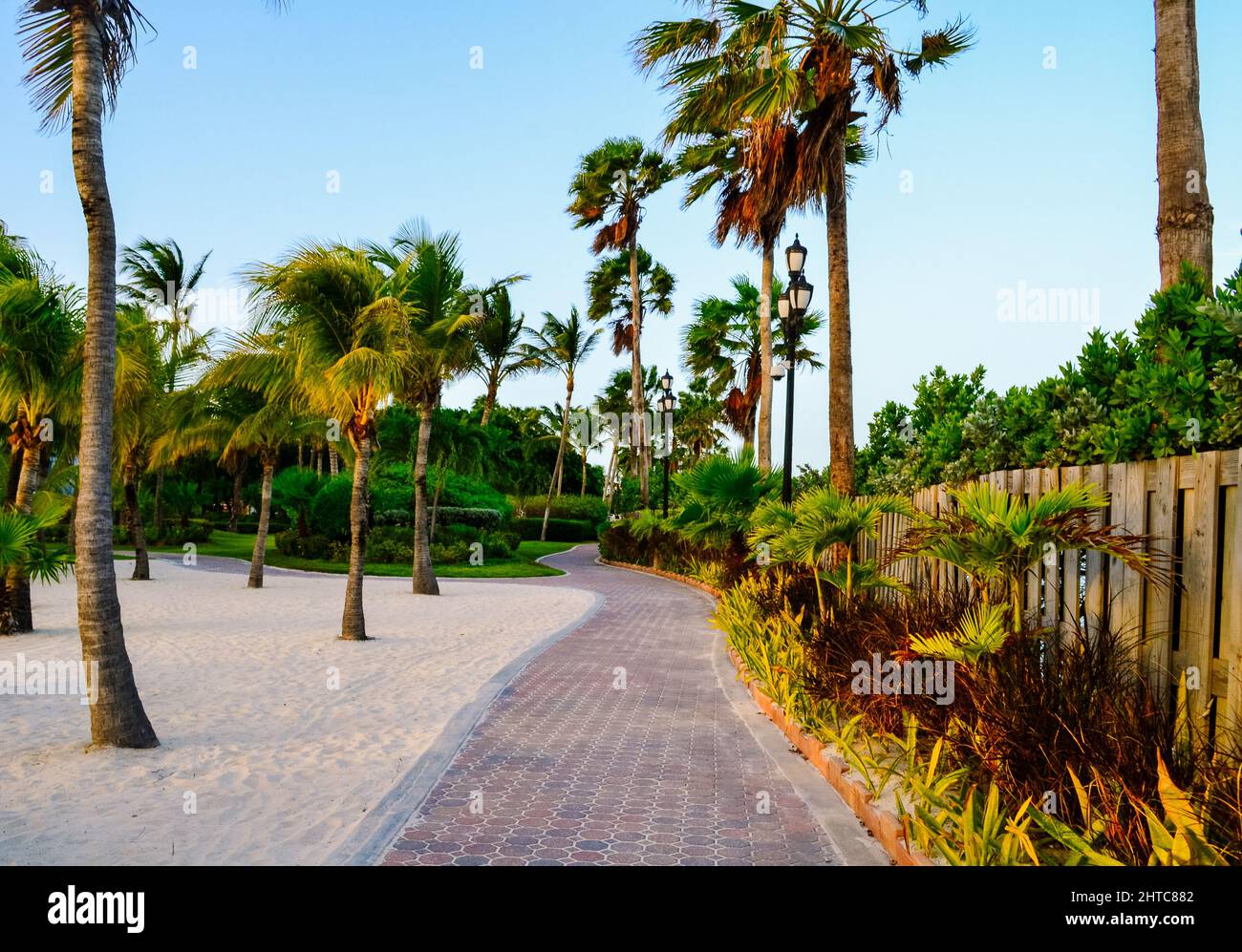 Natural view of a walkway and tall palm trees in the Norther Wall in