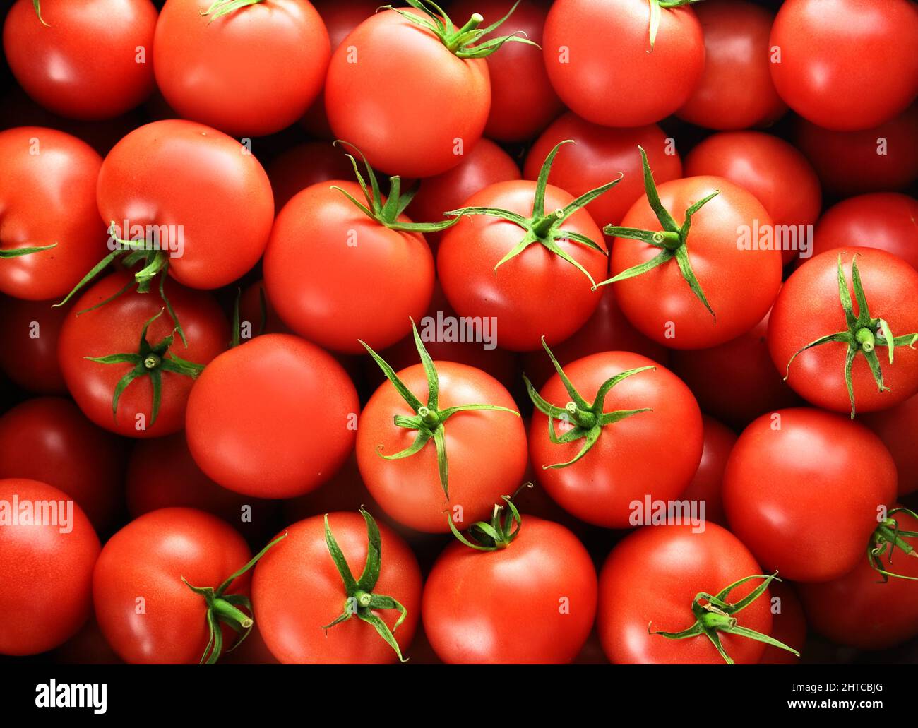 background with juicy and red tomatoes Stock Photo